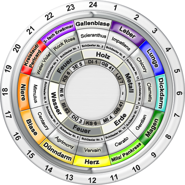 Anwendung Spirovitaltherapie - spezielle Organuhr mit Zusatzinformationen